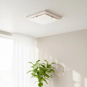 Lampada da soffitto 1xE27/60W/230V