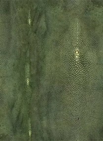 Jean Paul Gaultier Carta da parati Precieux - Vert