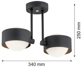 Argon 7089 - Lampadario su palo MASSIMO PLUS 2xG9/6W/230V nero