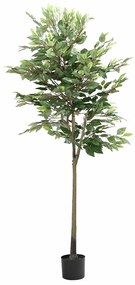 Albero Di Ficus Artificiale 756 Foglie 170 Cm Verde /