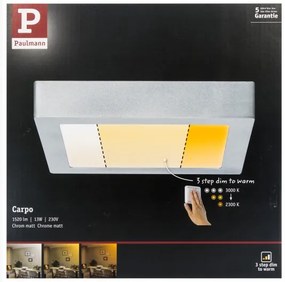 Paulmann 79794 - Plafoniera LED/13W CARPO 230V 2300/2500/3000K