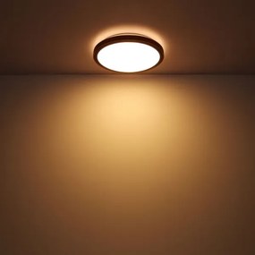 Globo 41764-12 - Plafoniera LED BRUNO LED/12W/230V 307 mm 3000/4500/6000K