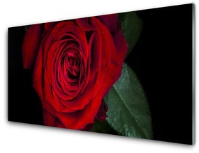 Quadro in vetro Rosa da parete 100x50 cm