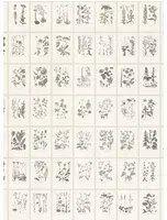 Sandberg Carta da parati panoramica Botanica - Graphite
