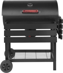 PICCADILLY - barbecue a carbonella