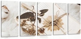 Quadri 5 pezzi – Collezione di foglie antiche