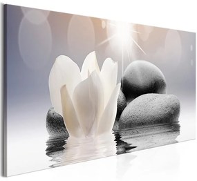 Quadro Pebbles in Water (1 Part) Narrow  Colore Grigio, Dimensioni e Misure 135x45