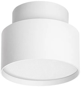 Rabalux 71324 - Plafoniera LED OVIDIA LED/16W/230V 3000K bianca