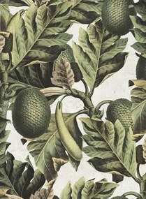 Mindthegap Carta da parati Exotic Fruit I - WP20097