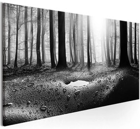 Quadro Forest after Rain (1 Part) Narrow  Colore bianco e nero, Dimensioni e Misure 135x45