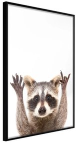 Poster  Funny Racoon  Cornice Quadri Cornice nera, Larghezza x Altezza Home decor 20x30