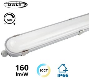 Plafoniera LED 150cm 55W IP66 CCT 8.800lm 160lm/W - con driver Osram Optotronic - Dimmerabile DALI Colore Bianco Variabile CCT