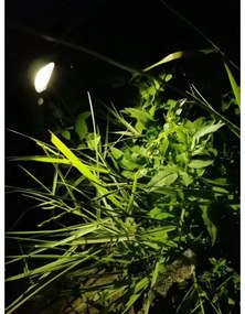 Immax 08502L - Lampada solare LED con sensore LED/1W/3,7V 6000K IP65