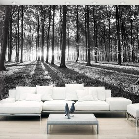 Fotomurale adesivo  Grey Wilderness  Larghezza x Altezza Home decor 98x70