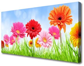 Quadro su tela I fiori dell'erba 100x50 cm