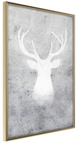 Poster  White Shadow  Cornice Quadri Cornice d'oro, Larghezza x Altezza Home decor 20x30