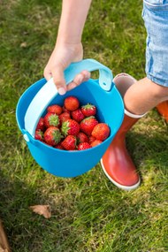 Secchiello con filtro Bucki, manico blu/azzurro
