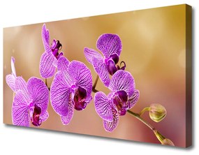 Foto quadro su tela Gambi di orchidea Fiori Natura 100x50 cm