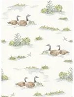 Coordonne Carta da parati Mallard Duck - Sage