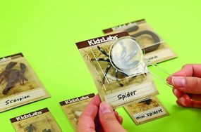 Scavi degli orrori - Insetti