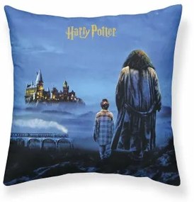 Fodera per cuscino Harry Potter Philosopher's Stone 50 x 50 cm