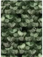 Rebel Walls Carta da parati Petite Peacock Plumage - Jade