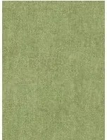 Essentials Carta da parati Granville - Oregano