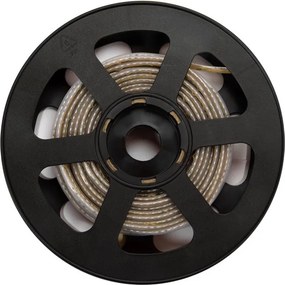 Striscia LED 220V 16W/m IP66 Dimmerabile Professional - Taglio 10cm – 20m