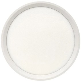 Plafoniera LED 18W/230V 3000/4000/6500K Ø 23 cm bianca