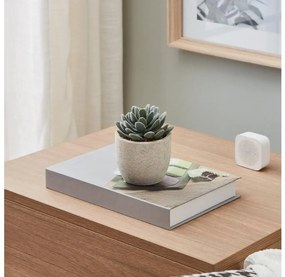 Eglo 428011 - Pianta artificiale in vaso CHITOSE 11x8 cm succulenta