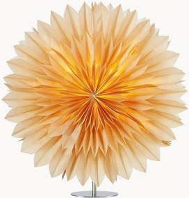 Stella luminosa di Natale Solina