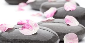 Quadro su tela – Pietre wellness con petali