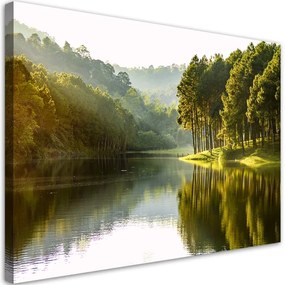 Quadro su tela, Natura dell'albero della foresta paesaggistica  Dimensioni 120x80