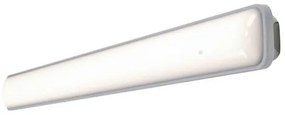 Ledvance - Luce LED tecnica SUBMARINE LED/18W/230V IP65