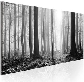 Quadro Black and White Forest  Colore bianco e nero, Dimensioni e Misure 120x40