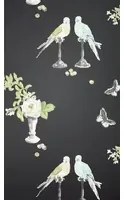 Nina Campbell Carta da parati Perroquet - Black
