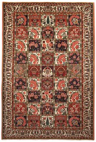 Bakhtiar Tappeto 300 x 210 (Iran) Annodato A Mano