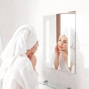 LED Specchio retroilluminato riscaldato da bagno LED/17W/230V IP44