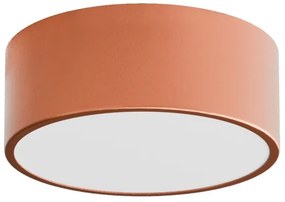 Plafoniera da soffitto per bagno con sensore CLEO 1xE27/24W/230V Ø 20 cm IP54, finitura rame