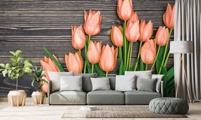 Carta da parati – Tulipani arancioni su sfondo di legno