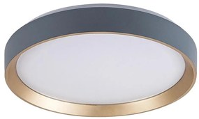 Rabalux 71185 - Plafoniera LED LIATRIS LED/25W/230V 3000K diametro 38 cm