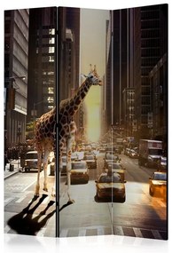 Paravento Giraffe in the Big City [Room Dividers]