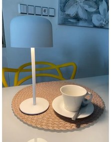 Immax 08497L - Lampada solare da esterno dimmergibile LED/4W/5V 3600mAh IP44