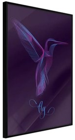 Poster  Fluorescent Hummingbird  Cornice Quadri Cornice nera, Larghezza x Altezza Home decor 40x60