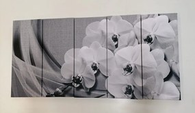 Quadri 5 pezzi – Orchidea su tela in bianco e nero