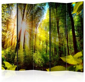 Paravento design Forest Hideout II - Paesaggio forestale con luce solare intensa