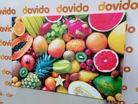 Stampa su tela – Frutta tropicale