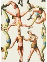 Mindthegap Carta da parati The Acrobats - WP20005
