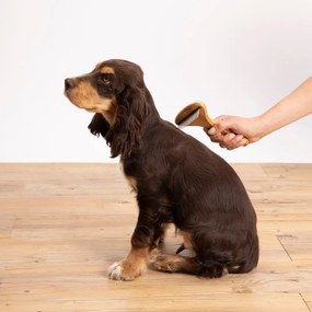 Spazzola per animali domestici - Love Story