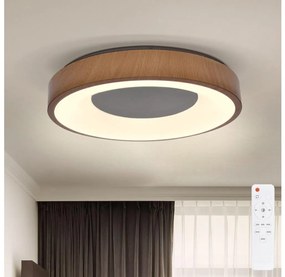Brilagi - Lampada LED da soffitto dimmerabile DORIA LED/48W/230V 3000-6500K + DO